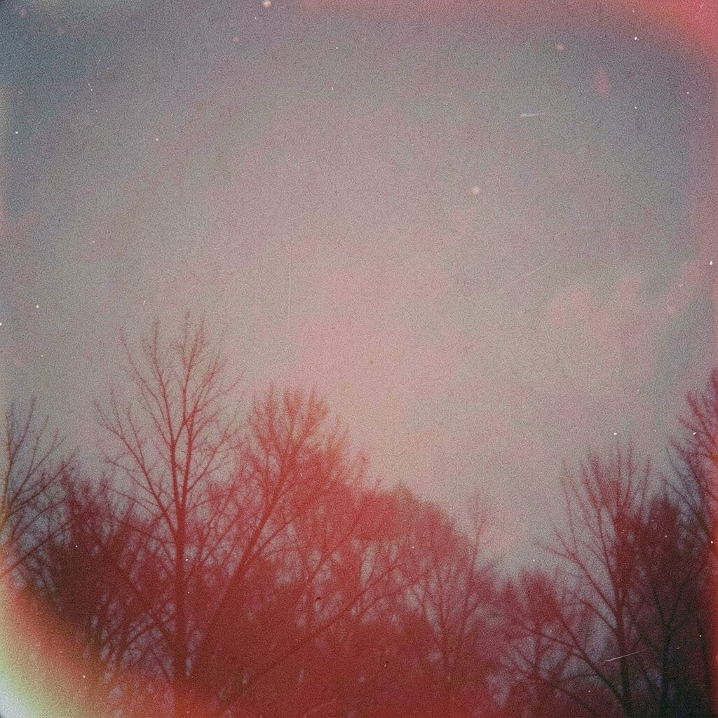 A grainy analog film photograph of a flyer pinned to a community board, warm amber and cream tones, soft shadows, intimate and grassroots.